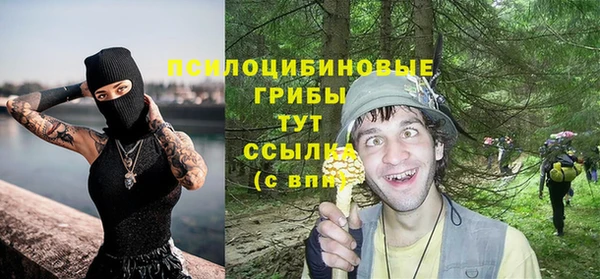 крисы Няндома