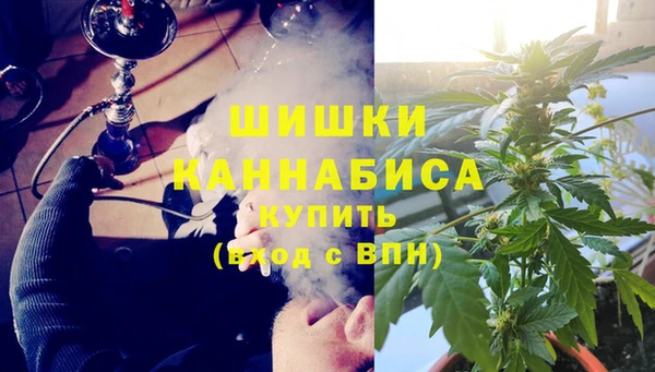 не бодяженный Новодвинск