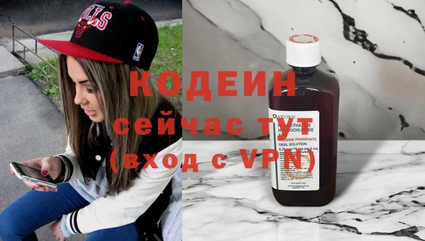 крисы Няндома