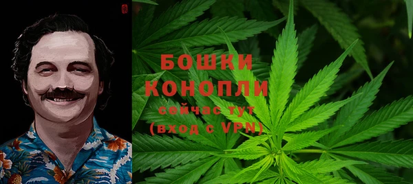 не бодяженный Новодвинск