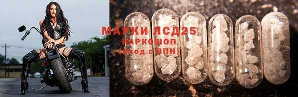крисы Няндома