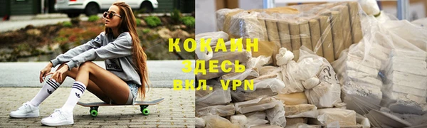крисы Няндома