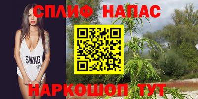 МДПВ Балашиха