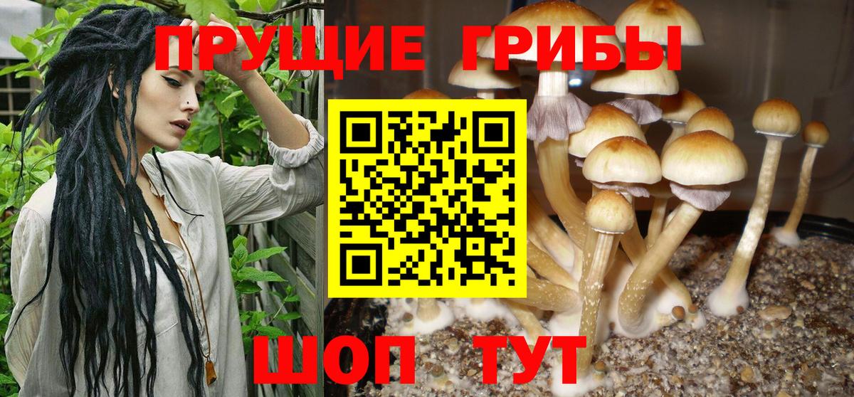 Татарск  Галлюциногенные грибы MAGIC MUSHROOMS  Вход с VPN 
