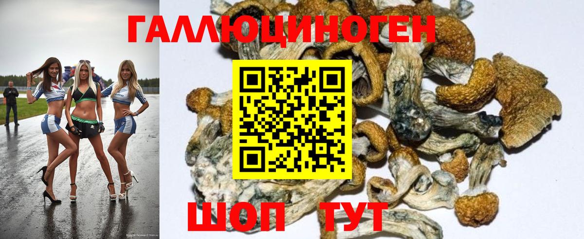 Галлюциногенные грибы ЛСД  наркотики  Татарск 