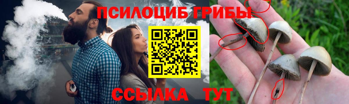 Галлюциногенные грибы прущие грибы Татарск