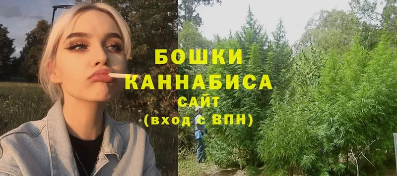 Канабис план  Татарск 