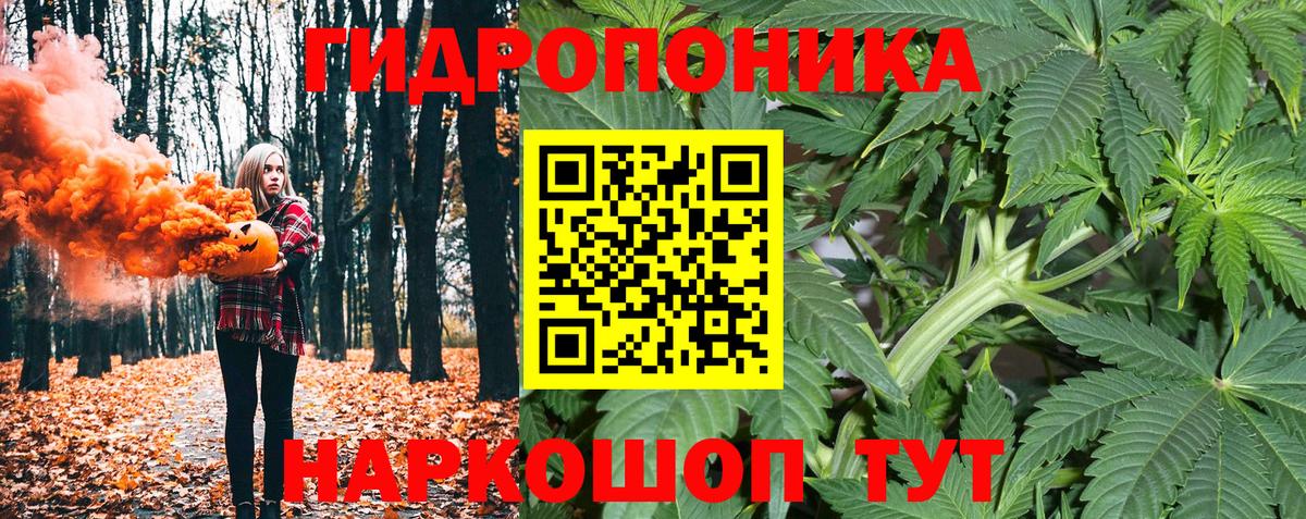 Марихуана гибрид Татарск